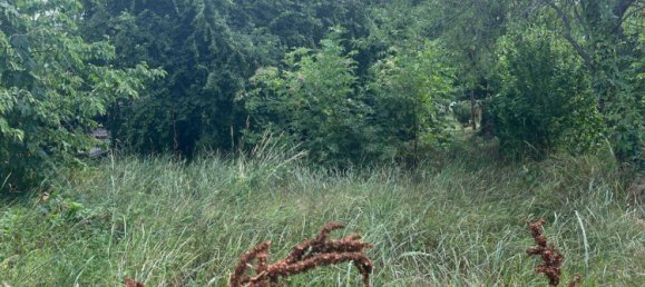 Terrain à Neusiedl am See, Austria 765m² No. 143057 5