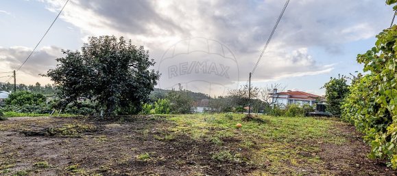 5 bedrooms House in Quinchaes, Portugal No. 174100 42