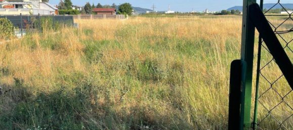 Terrain à Leobendorf, Austria No. 246207 2