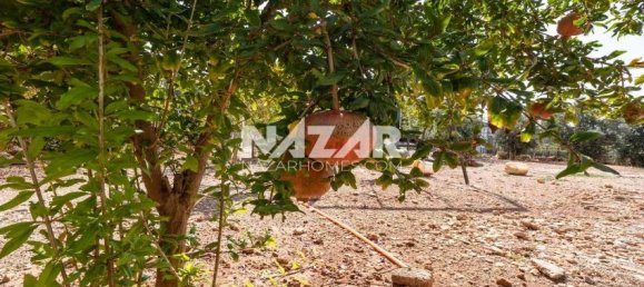 Apartment 1+1 in Alanya, Turkey No. 20503 25