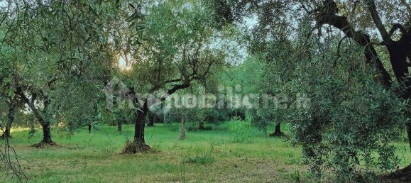 4 chambres Villa à Velletri, Italy No. 347922 38