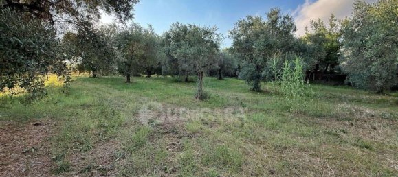 4 chambres Villa à Velletri, Italy No. 347922 11