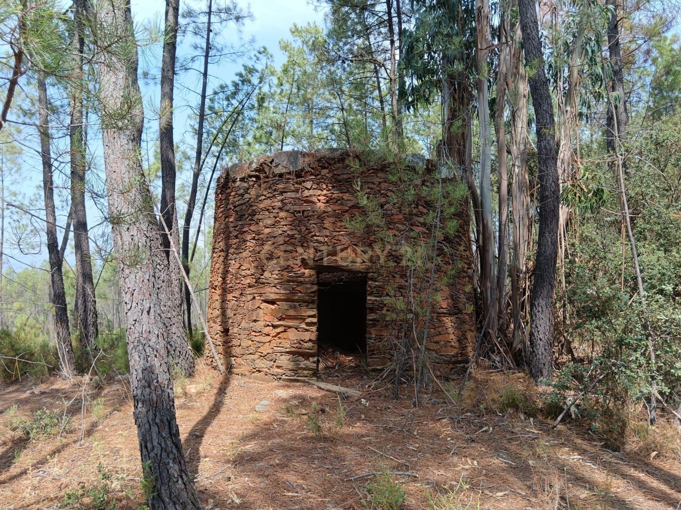  Land in Salgueiro do Campo, Portugal No. 344107