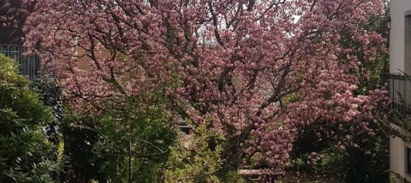 4 bedrooms House in Vila Real, Portugal No. 124424 4