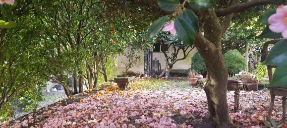 4 bedrooms House in Vila Real, Portugal No. 124424 3