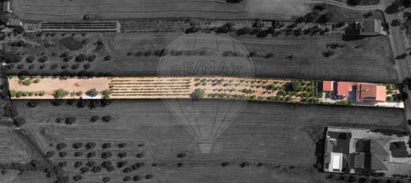 4 bedrooms House in Riachos, Portugal No. 175920 4