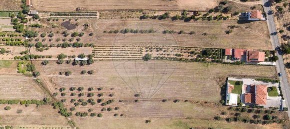 4 bedrooms House in Riachos, Portugal No. 175920 3