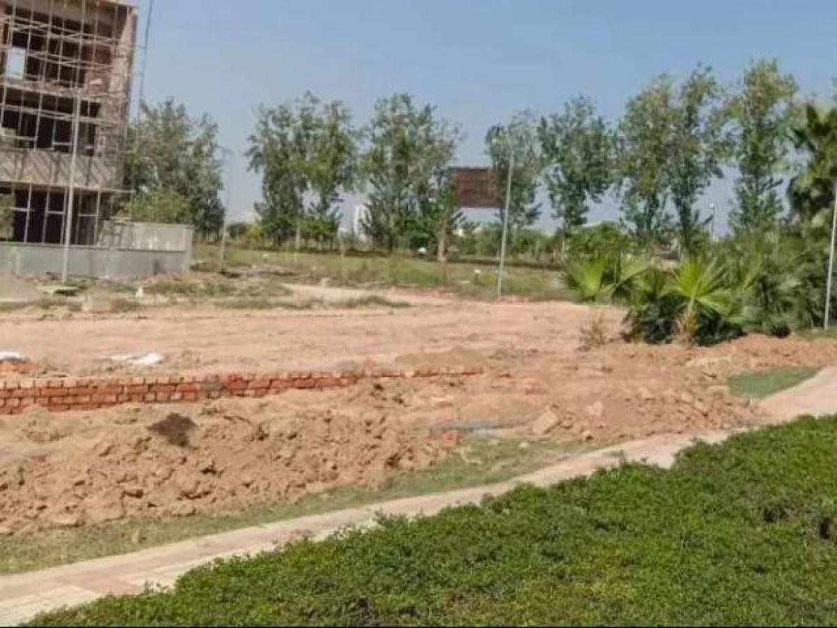  Land in Mohali, India No. 36854