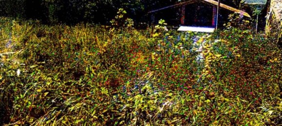 Apartamento de 3 dormitorios en Viggiano, Italy No. 376901 15