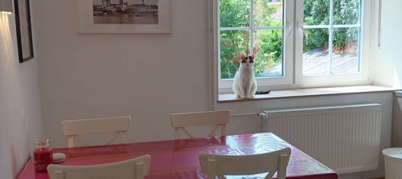 6 rooms Farm in Kusel, Germany No. 246229 6