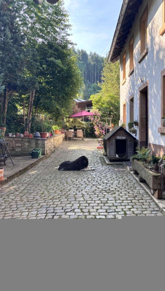 6 rooms Farm in Kusel, Germany No. 246229