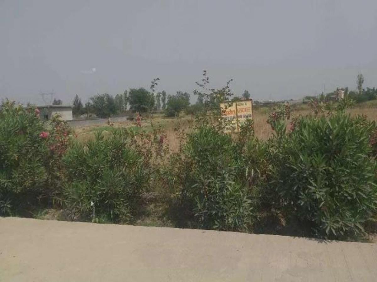  Land in Ghaziabad, India No. 37385
