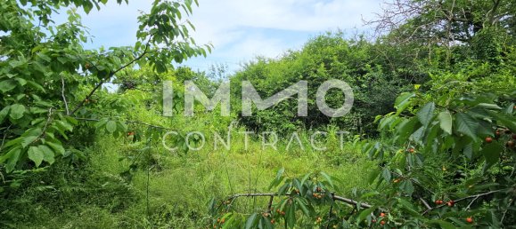 2023m² Land in Felixdorf, Austria No. 165616 9