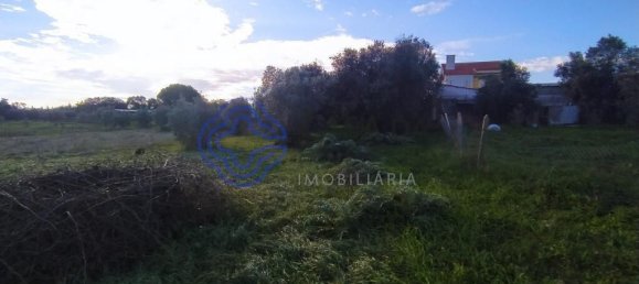 3 bedrooms House in Tomar, Portugal No. 14533 5