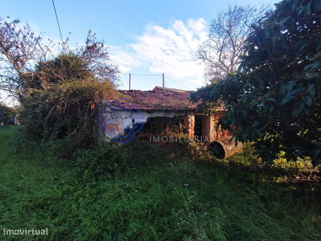 3 bedrooms House in Tomar, Portugal No. 14533