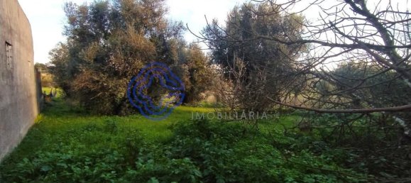 3 bedrooms House in Tomar, Portugal No. 14533 8