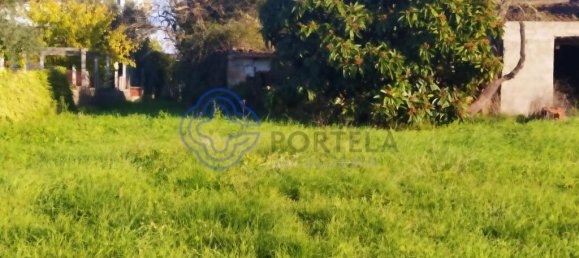 3 bedrooms House in Tomar, Portugal No. 14533 3