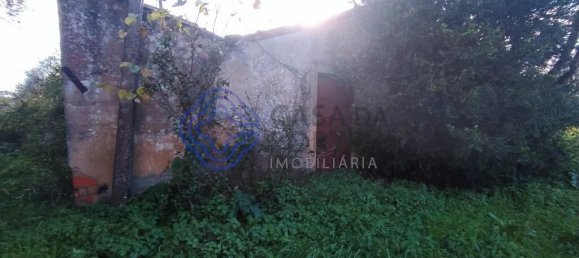 3 bedrooms House in Tomar, Portugal No. 14533 4