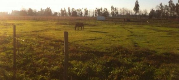 Grundstück in Maule, Chile, Nr. 940 2