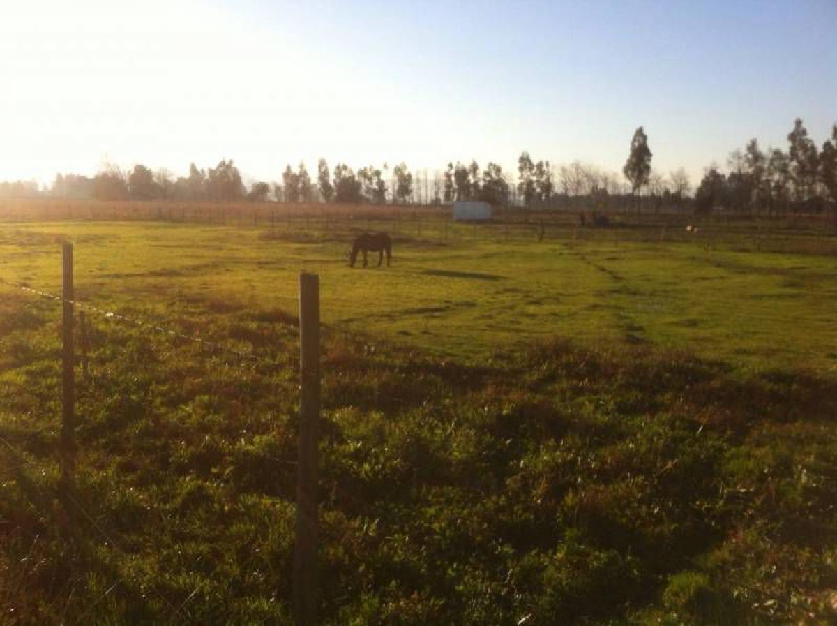 Grundstück in Maule, Chile, Nr. 940