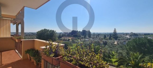 4-Zimmer Wohnung in Bisceglie, Italy, Nr. 43354 14