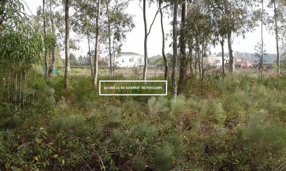 Земельный участок в Пилар, Аргентина № 46332