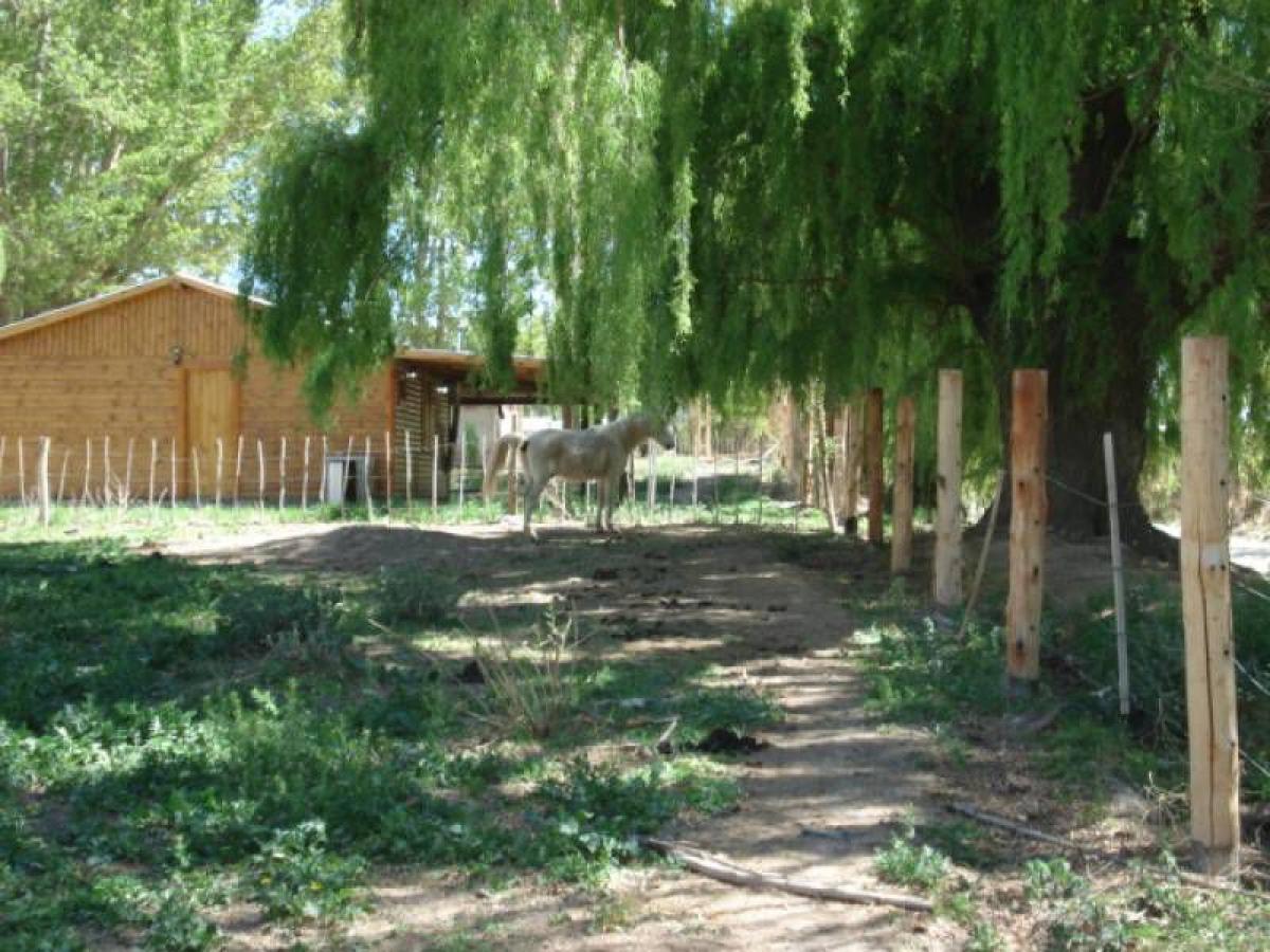 Grundstück in Mendoza, Argentina, Nr. 42800