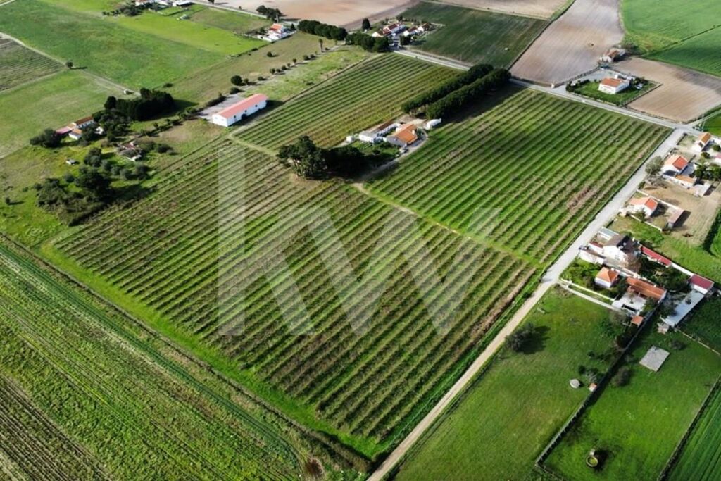 2 bedrooms Castles in Palmela, Portugal No. 67838