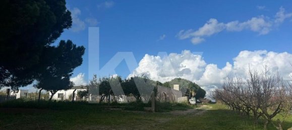 2 bedrooms Castles in Palmela, Portugal No. 67838 23