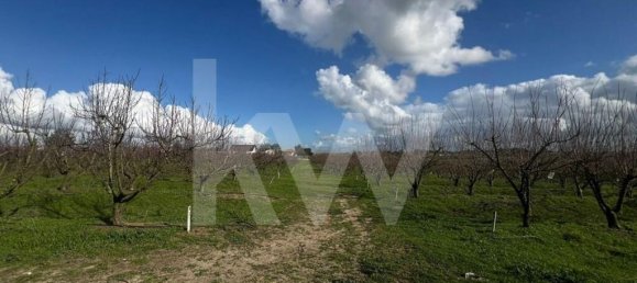 2 bedrooms Castles in Palmela, Portugal No. 67838 22