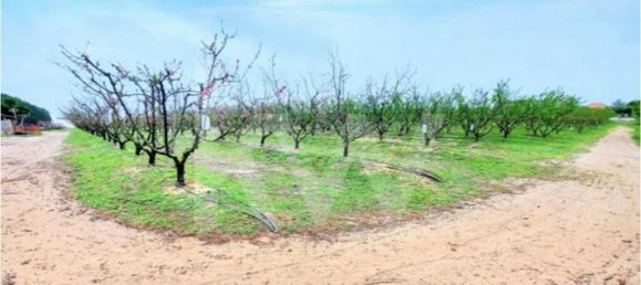 2 bedrooms Castles in Palmela, Portugal No. 67838 27