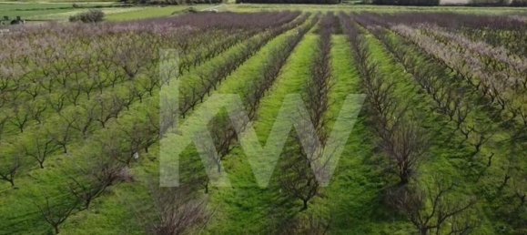 2 bedrooms Castles in Palmela, Portugal No. 67838 21