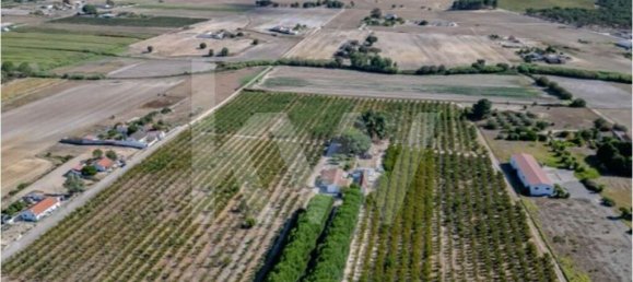 2 bedrooms Castles in Palmela, Portugal No. 67838 6