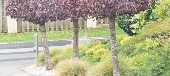 4 rooms House in Graz-Umgebung, Austria No. 257421 10