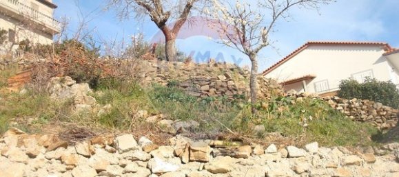 3 غرف نوم منزل في Longroiva, Portugal رقم 170836 26