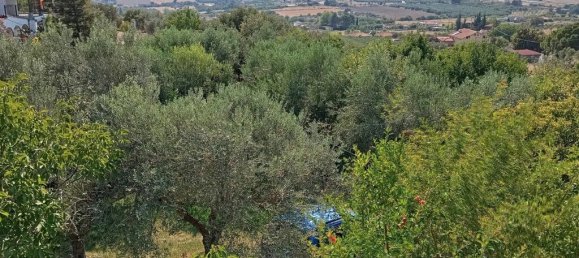 Дом с 4 спальнями в Халкидики, Греция № 93437 7