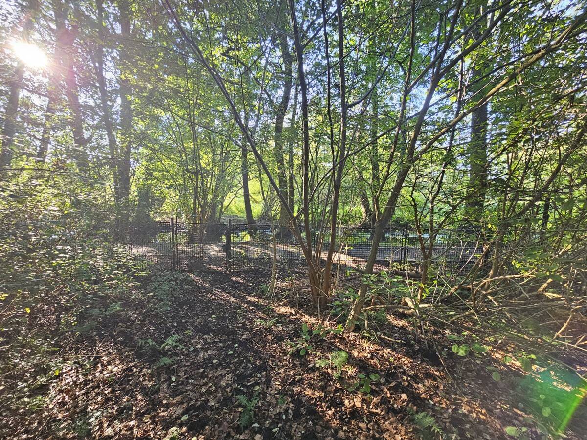 Земельный участок в Oberhavel, Германия № 83019