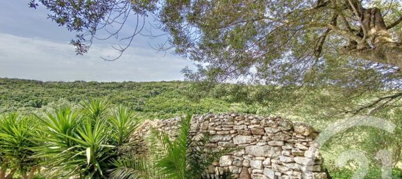 5 bedrooms Villa in Bonifacio, France No. 274178 2