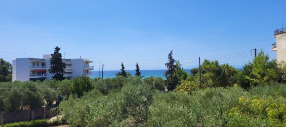 5 غرف نوم عقار تجاري في Chalkidiki, Greece رقم 53738 2