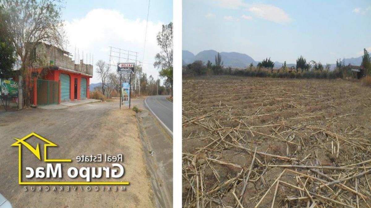 Terrain à Matamoros, Mexico No. 205226