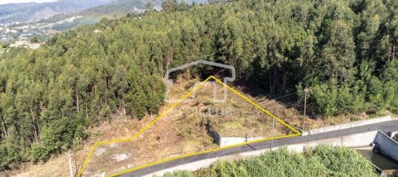  Land in Funchal, Portugal No. 117750 7