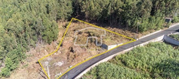  Land in Funchal, Portugal No. 117750 6