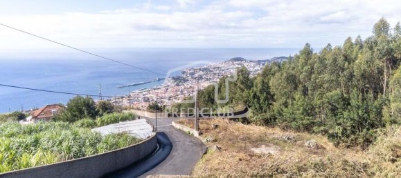  Land in Funchal, Portugal No. 117750 5