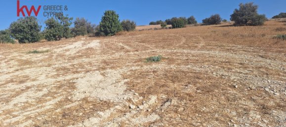 قطعة أرض في Alaminos, Cyprus 4683متر مربع رقم 26509 3