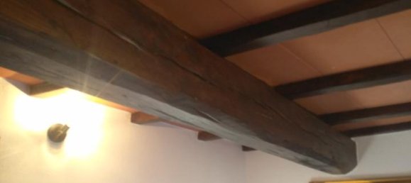 7 rooms House in Luni, Italy No. 163338 17