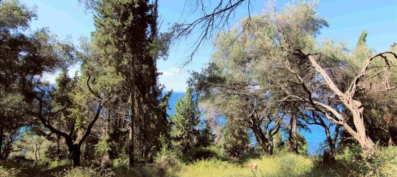 10000m² Hotel in Corfu, Greece No. 5599 4