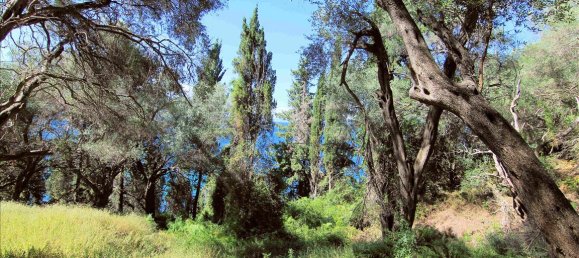 10000 m² hotel en venta en Corfu, Central Corfu and Diapontian Islands, Corfu, Ionian Islands, Peloponnese, Western Greece and the Ionian, Greece № 5599 8