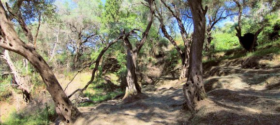 10000m² Hotel in Corfu, Greece No. 5599 9