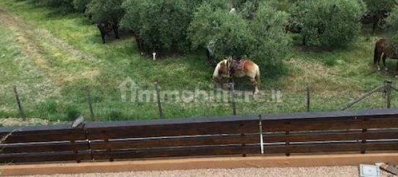 Terreno en Collesalvetti, Italy 10000 m² No. 207677 2