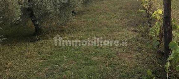 Terreno en Collesalvetti, Italy 10000 m² No. 207677 6